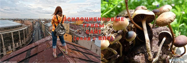 гашишное масло Нязепетровск