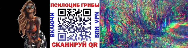 Галлюциногенные грибы GOLDEN TEACHER  дарнет шоп  Татарск 